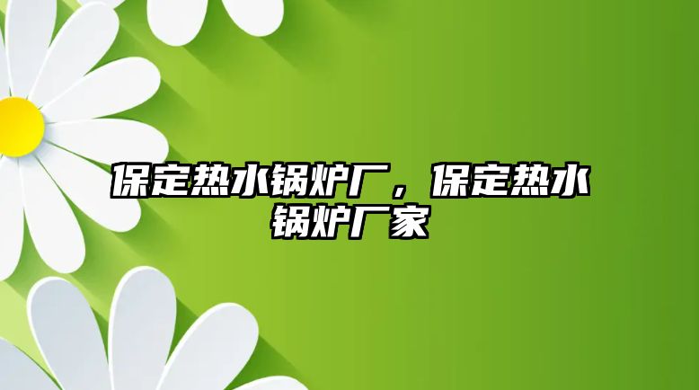 保定熱水鍋爐廠，保定熱水鍋爐廠家