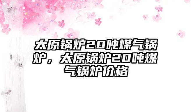 太原鍋爐20噸煤氣鍋爐，太原鍋爐20噸煤氣鍋爐價(jià)格