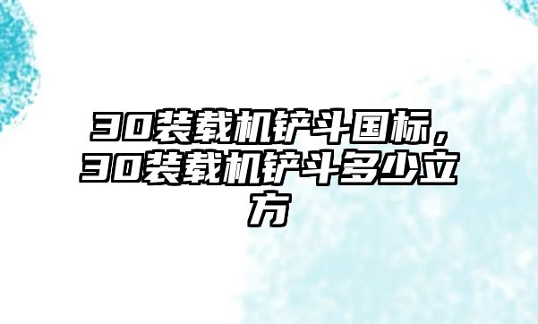 30裝載機鏟斗國標，30裝載機鏟斗多少立方