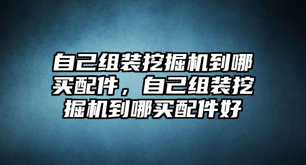 自己組裝挖掘機(jī)到哪買(mǎi)配件，自己組裝挖掘機(jī)到哪買(mǎi)配件好