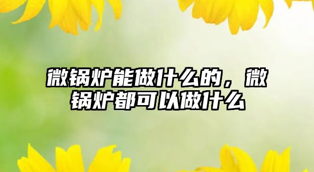 微鍋爐能做什么的，微鍋爐都可以做什么