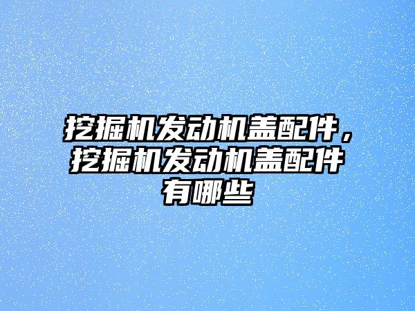 挖掘機(jī)發(fā)動(dòng)機(jī)蓋配件，挖掘機(jī)發(fā)動(dòng)機(jī)蓋配件有哪些