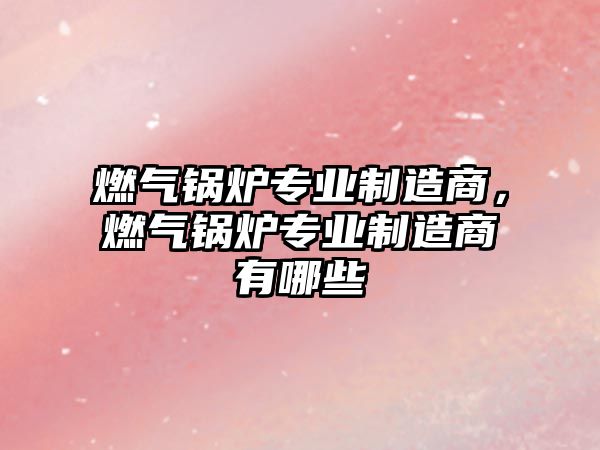 燃?xì)忮仩t專業(yè)制造商，燃?xì)忮仩t專業(yè)制造商有哪些