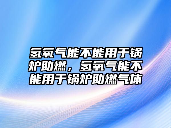 氫氧氣能不能用于鍋爐助燃，氫氧氣能不能用于鍋爐助燃氣體