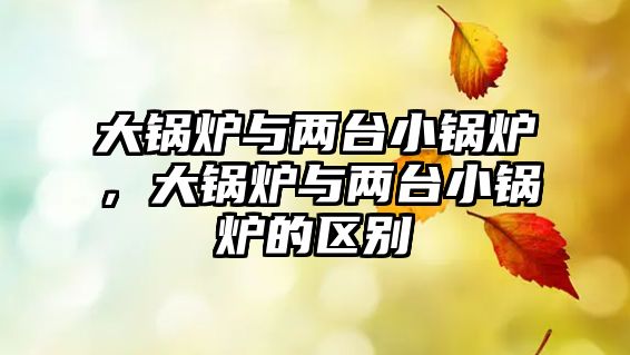 大鍋爐與兩臺小鍋爐，大鍋爐與兩臺小鍋爐的區(qū)別