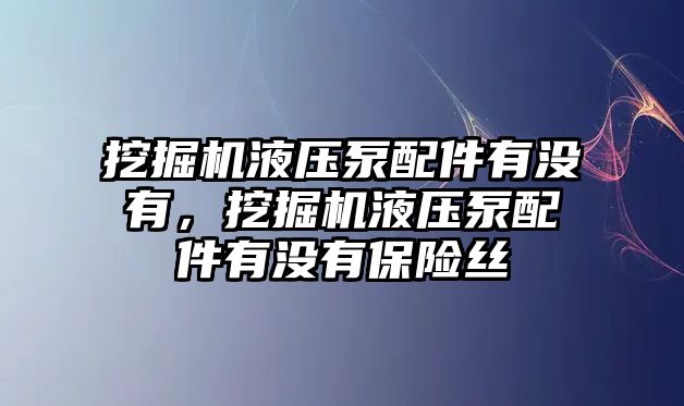 挖掘機(jī)液壓泵配件有沒有，挖掘機(jī)液壓泵配件有沒有保險(xiǎn)絲