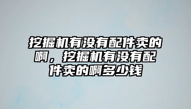 挖掘機(jī)有沒有配件賣的啊，挖掘機(jī)有沒有配件賣的啊多少錢