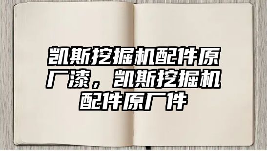 凱斯挖掘機(jī)配件原廠漆，凱斯挖掘機(jī)配件原廠件