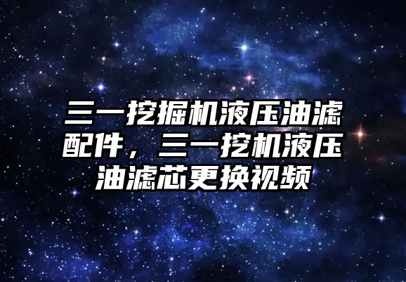 三一挖掘機(jī)液壓油濾配件，三一挖機(jī)液壓油濾芯更換視頻