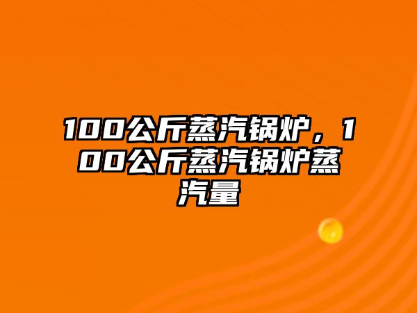 100公斤蒸汽鍋爐，100公斤蒸汽鍋爐蒸汽量