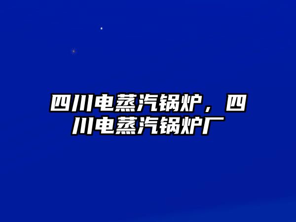 四川電蒸汽鍋爐，四川電蒸汽鍋爐廠