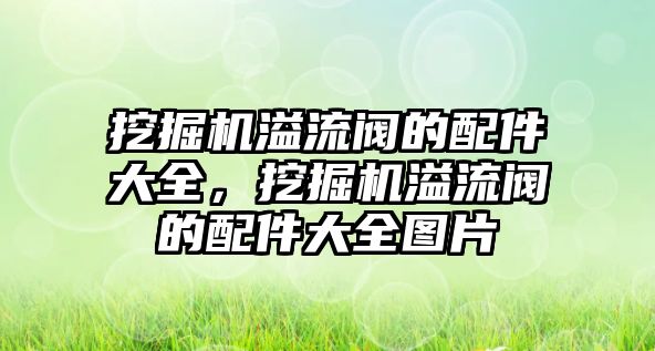 挖掘機溢流閥的配件大全，挖掘機溢流閥的配件大全圖片