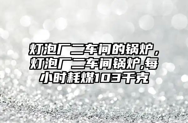 燈泡廠二車間的鍋爐，燈泡廠二車間鍋爐,每小時耗煤103千克