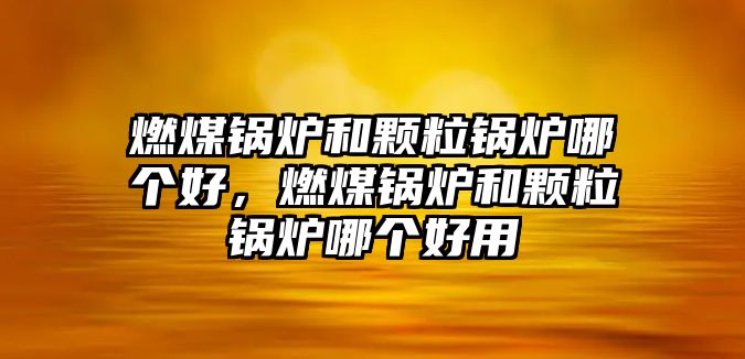 燃煤鍋爐和顆粒鍋爐哪個好，燃煤鍋爐和顆粒鍋爐哪個好用