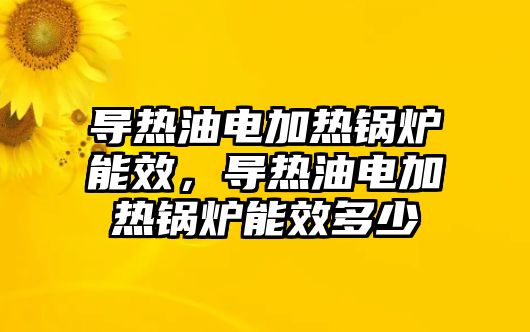 導(dǎo)熱油電加熱鍋爐能效，導(dǎo)熱油電加熱鍋爐能效多少