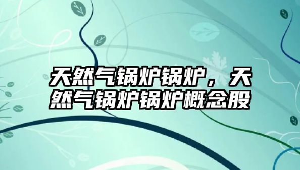 天然氣鍋爐鍋爐，天然氣鍋爐鍋爐概念股