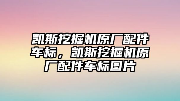 凱斯挖掘機原廠配件車標，凱斯挖掘機原廠配件車標圖片