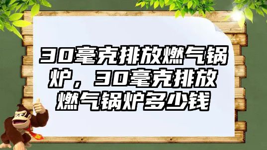 30毫克排放燃?xì)忮仩t，30毫克排放燃?xì)忮仩t多少錢