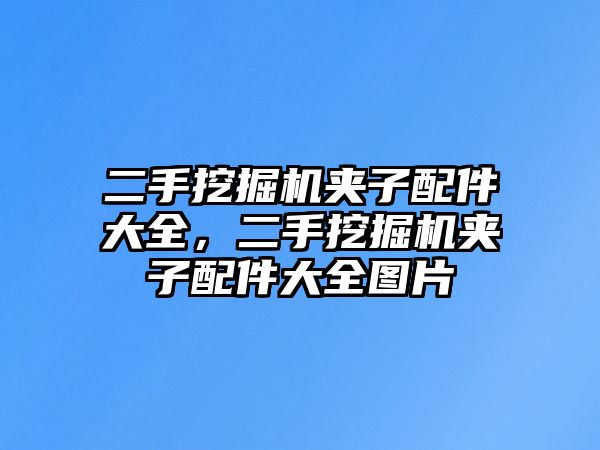 二手挖掘機(jī)夾子配件大全，二手挖掘機(jī)夾子配件大全圖片