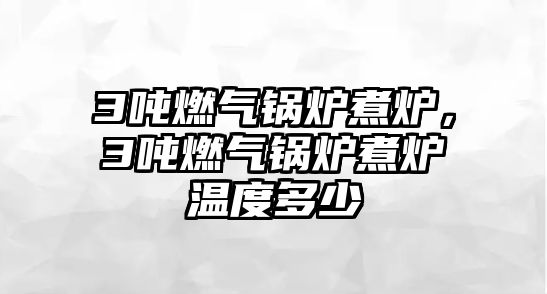 3噸燃氣鍋爐煮爐，3噸燃氣鍋爐煮爐溫度多少