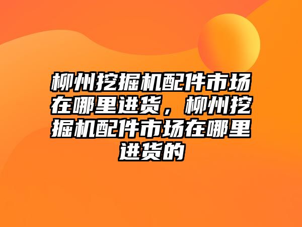 柳州挖掘機配件市場在哪里進貨，柳州挖掘機配件市場在哪里進貨的