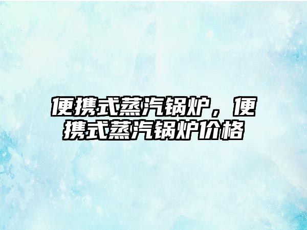 便攜式蒸汽鍋爐，便攜式蒸汽鍋爐價格