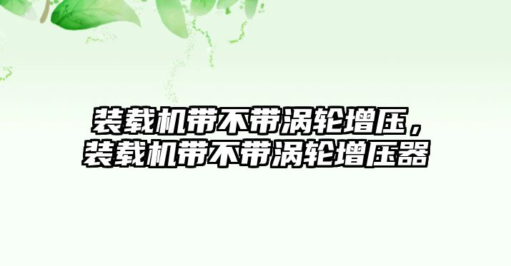 裝載機帶不帶渦輪增壓，裝載機帶不帶渦輪增壓器