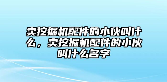 賣挖掘機配件的小伙叫什么，賣挖掘機配件的小伙叫什么名字