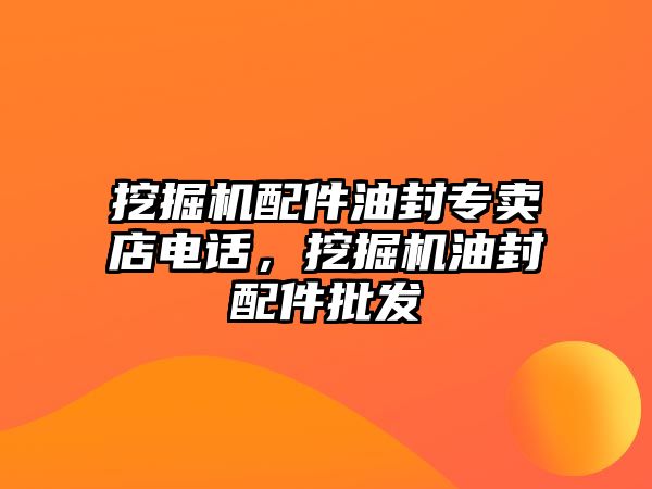 挖掘機配件油封專賣店電話，挖掘機油封配件批發(fā)