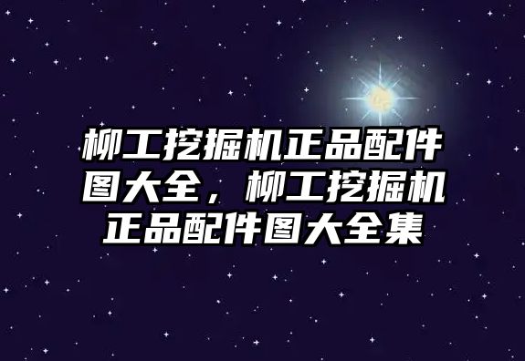 柳工挖掘機(jī)正品配件圖大全，柳工挖掘機(jī)正品配件圖大全集