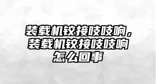 裝載機鉸接吱吱響，裝載機鉸接吱吱響怎么回事