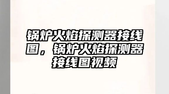 鍋爐火焰探測(cè)器接線圖，鍋爐火焰探測(cè)器接線圖視頻