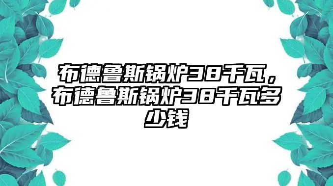 布德魯斯鍋爐38千瓦，布德魯斯鍋爐38千瓦多少錢