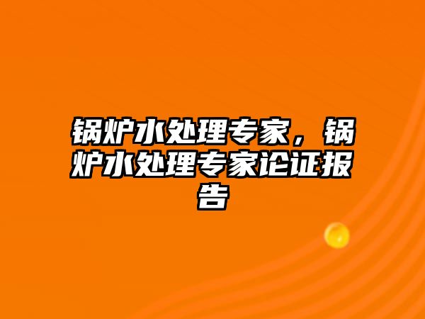 鍋爐水處理專家，鍋爐水處理專家論證報告