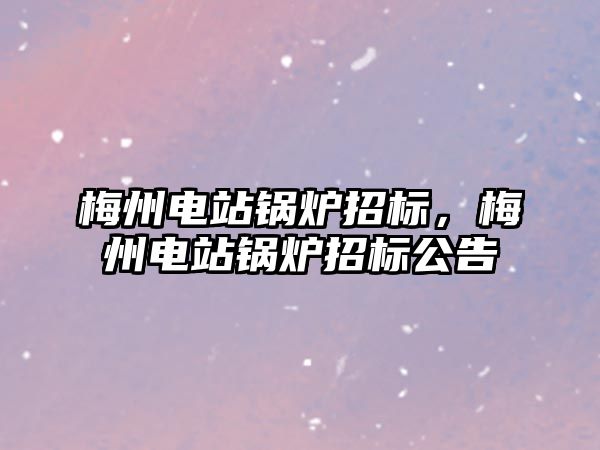 梅州電站鍋爐招標，梅州電站鍋爐招標公告