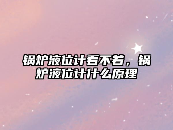 鍋爐液位計看不著，鍋爐液位計什么原理