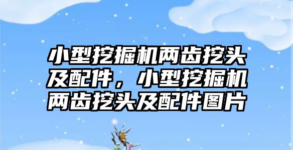 小型挖掘機(jī)兩齒挖頭及配件，小型挖掘機(jī)兩齒挖頭及配件圖片