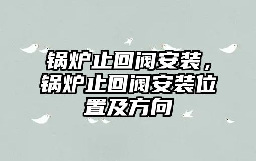 鍋爐止回閥安裝，鍋爐止回閥安裝位置及方向