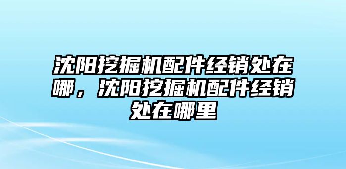 沈陽(yáng)挖掘機(jī)配件經(jīng)銷處在哪，沈陽(yáng)挖掘機(jī)配件經(jīng)銷處在哪里