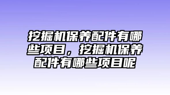 挖掘機(jī)保養(yǎng)配件有哪些項(xiàng)目，挖掘機(jī)保養(yǎng)配件有哪些項(xiàng)目呢