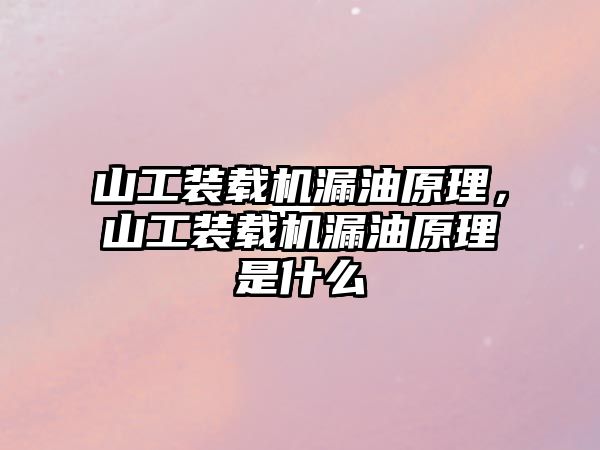 山工裝載機漏油原理，山工裝載機漏油原理是什么