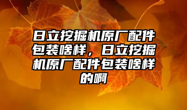 日立挖掘機原廠配件包裝啥樣，日立挖掘機原廠配件包裝啥樣的啊