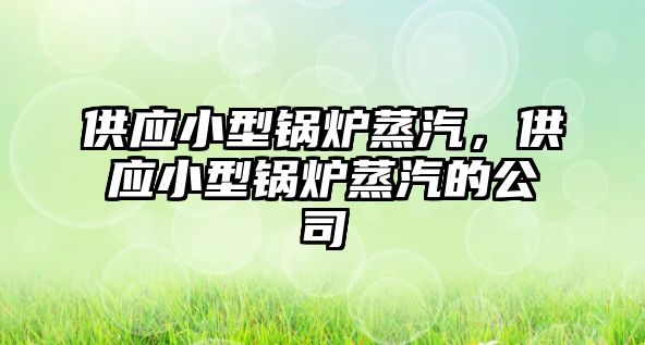 供應(yīng)小型鍋爐蒸汽，供應(yīng)小型鍋爐蒸汽的公司