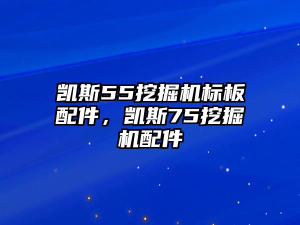 凱斯55挖掘機標板配件，凱斯75挖掘機配件