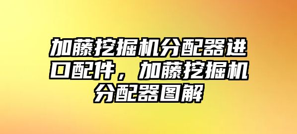 加藤挖掘機分配器進口配件，加藤挖掘機分配器圖解