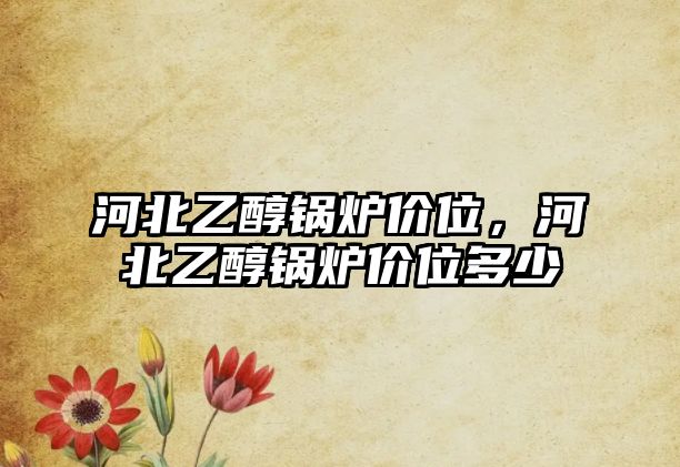 河北乙醇鍋爐價(jià)位，河北乙醇鍋爐價(jià)位多少