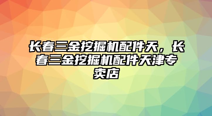 長春三金挖掘機配件天，長春三金挖掘機配件天津?qū)Ｙu店