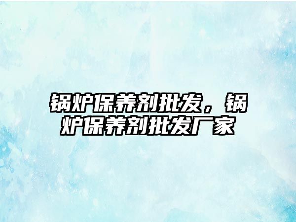 鍋爐保養(yǎng)劑批發(fā)，鍋爐保養(yǎng)劑批發(fā)廠家