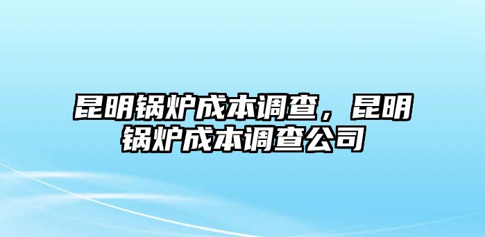 昆明鍋爐成本調(diào)查，昆明鍋爐成本調(diào)查公司