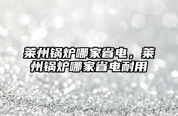 萊州鍋爐哪家省電，萊州鍋爐哪家省電耐用